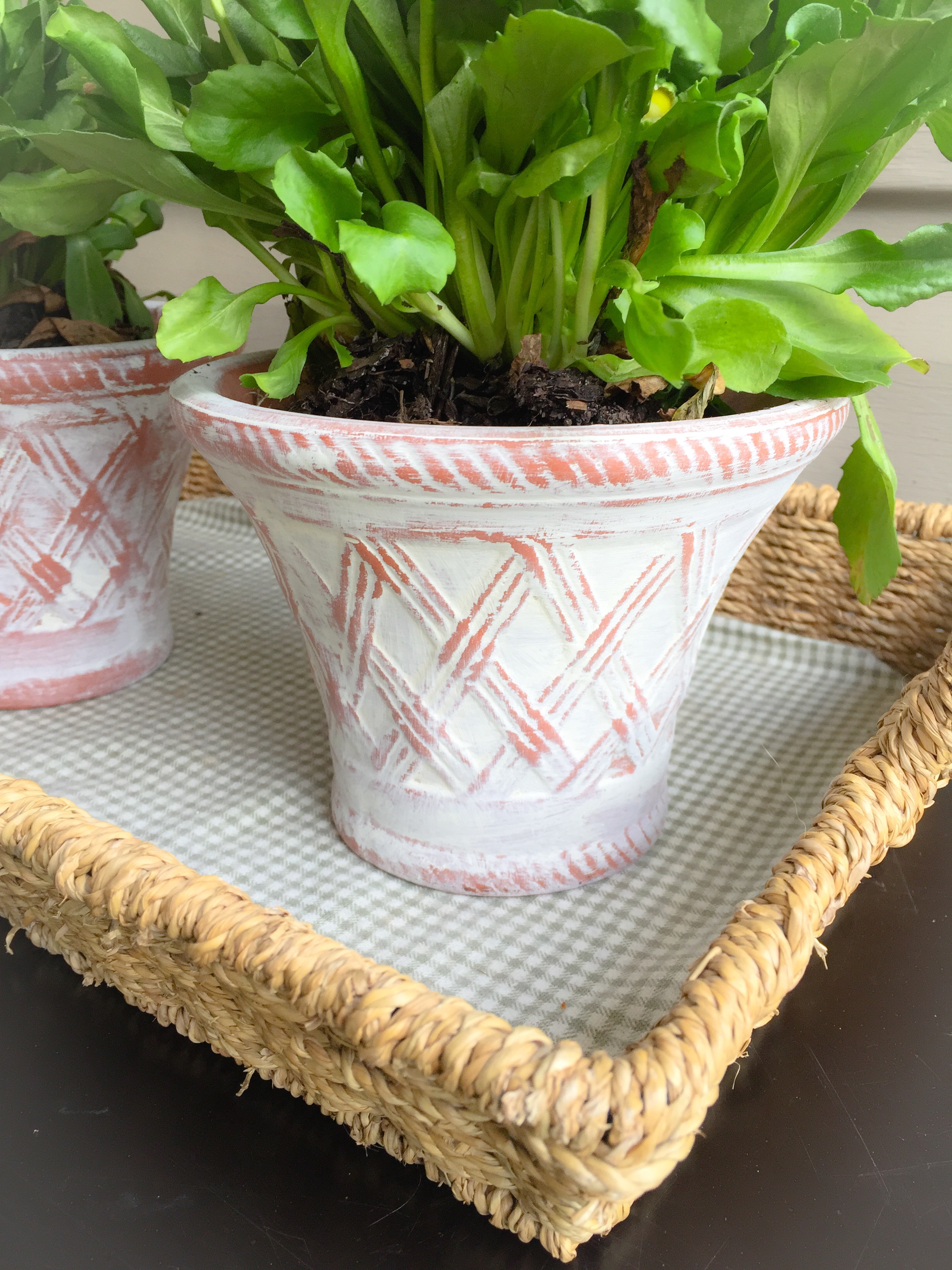 Whitewashing Old Terra Cotta Pots