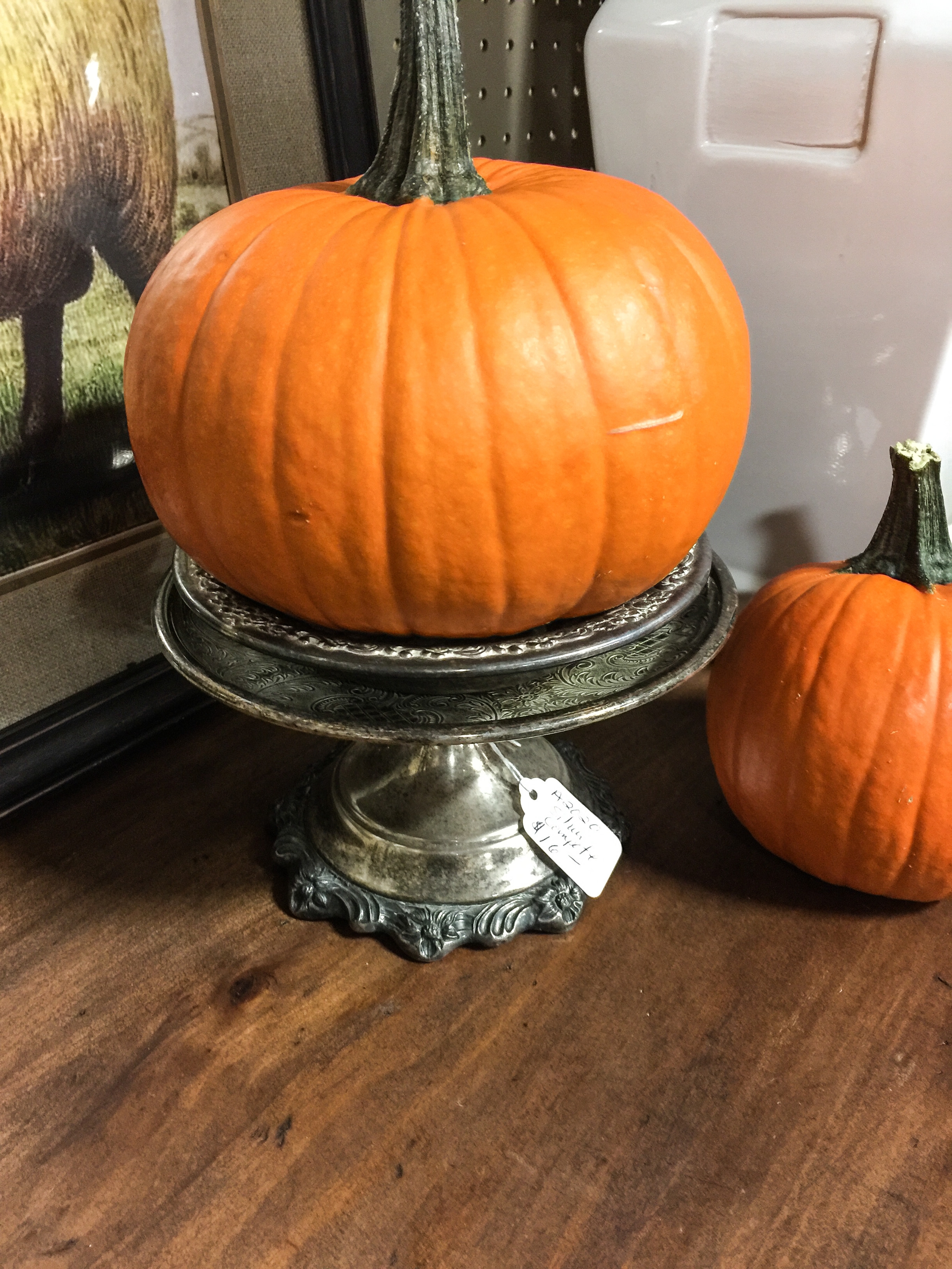 My Shop Update With A Few Fall Touches
